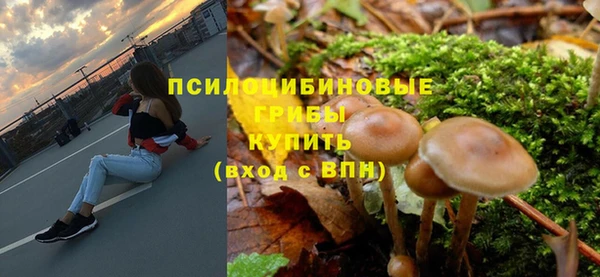 таблы Тында